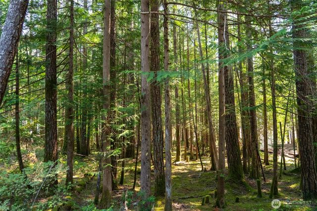 30 N Mt Jupiter Place, Hoodsport, WA 98548