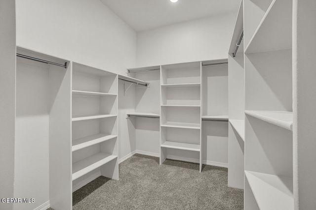 6933 Levee Circle, El Paso, TX 79932