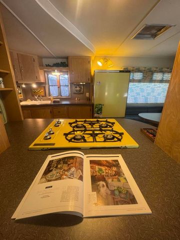 26350 Delano Drive 78, Idyllwild, CA 92549