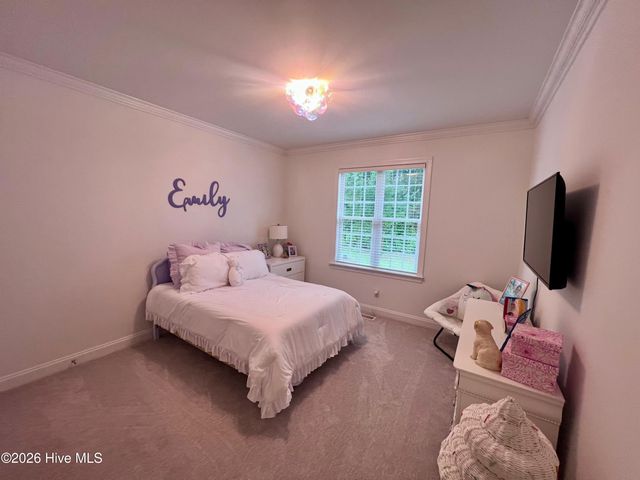 3204 Misty Pines Road, Greenville, NC 27858