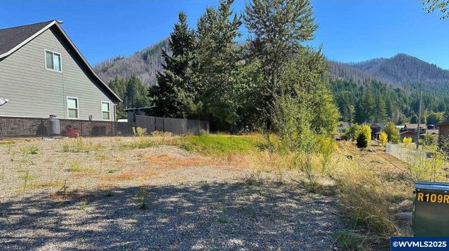 295 Janice Ct, Detroit, OR 97342