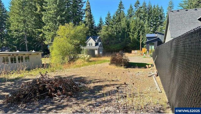 295 Janice Ct, Detroit, OR 97342