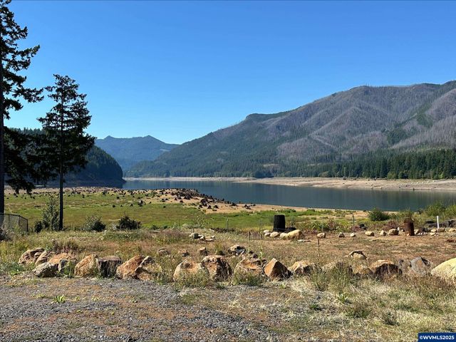 295 Janice Ct, Detroit, OR 97342