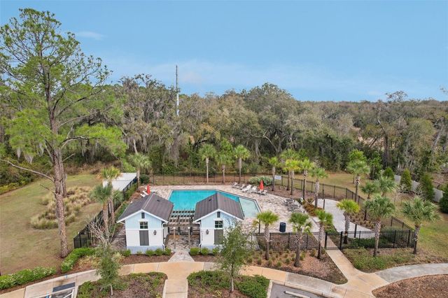 34196 ROGALLO LANE, Wesley Chapel, FL 33545