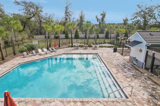 34196 ROGALLO LANE, Wesley Chapel, FL 33545