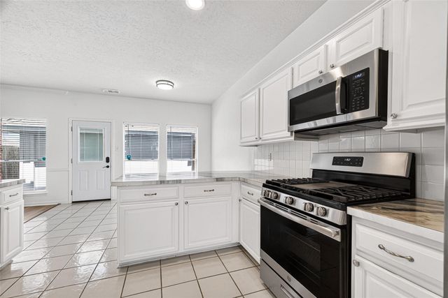 1253 El Camino Village Drive, Webster, TX 77058