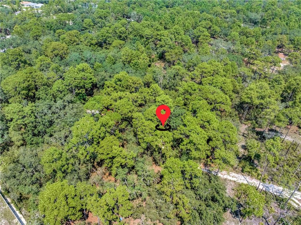 RESTORATION ROAD, Brooksville, FL 34613