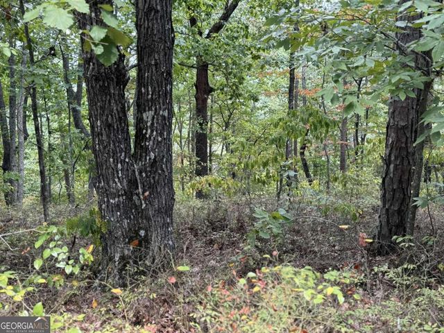 1417 Foxhound Trail NE, Ranger, GA 30734