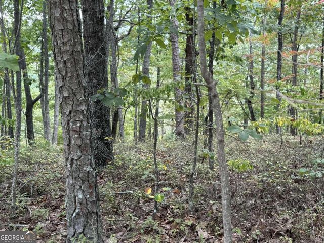 1417 Foxhound Trail NE, Ranger, GA 30734