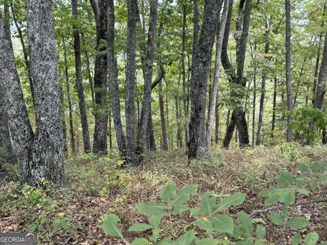 1417 Foxhound Trail NE, Ranger, GA 30734