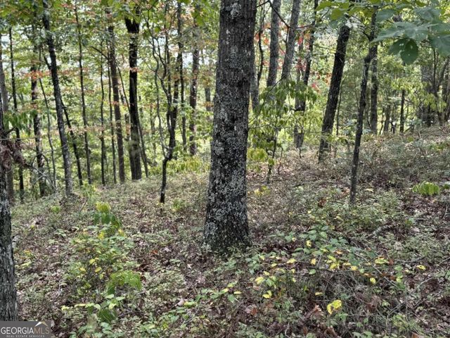 1417 Foxhound Trail NE, Ranger, GA 30734