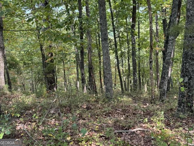 1417 Foxhound Trail NE, Ranger, GA 30734