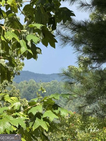 1417 Foxhound Trail NE, Ranger, GA 30734