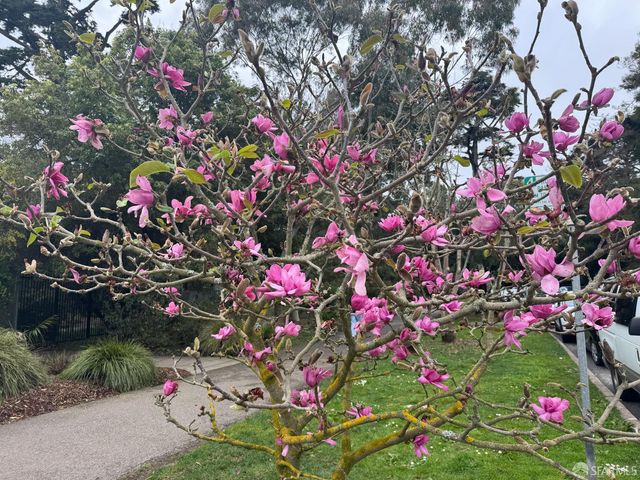 1482 18th Avenue, San Francisco, CA 94122