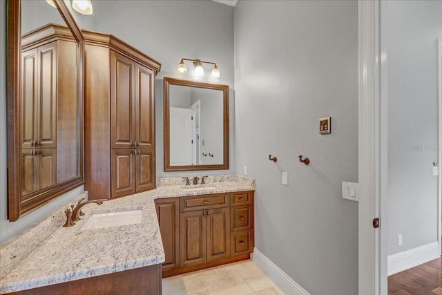 2620 TYLERS RIVER RUN, Lutz, FL 33559