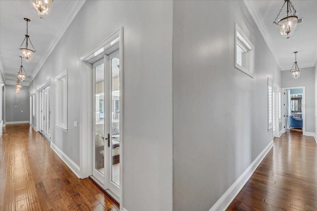 2620 TYLERS RIVER RUN, Lutz, FL 33559