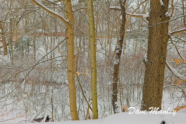 1335 Crestbrook Avenue, Norton Shores, MI 49444