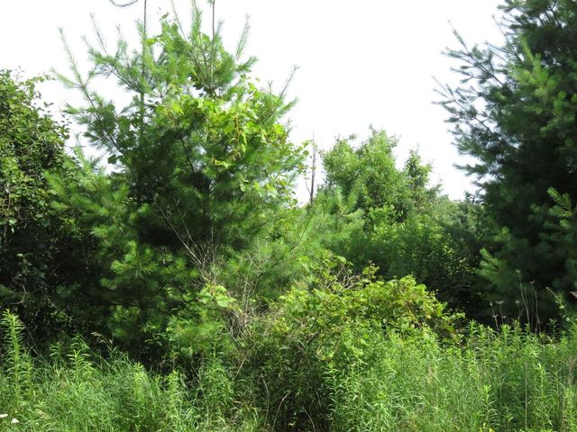 1 Acre Woodridge Drive, Elkhorn, WI 53121