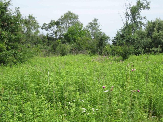 1 Acre Woodridge Drive, Elkhorn, WI 53121