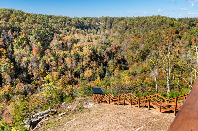 1484 Forest View Drive, Frenchburg, KY 40322