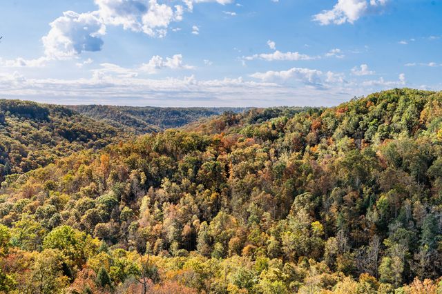 1484 Forest View Drive, Frenchburg, KY 40322