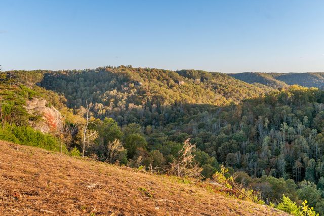 1484 Forest View Drive, Frenchburg, KY 40322