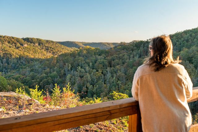 1484 Forest View Drive, Frenchburg, KY 40322