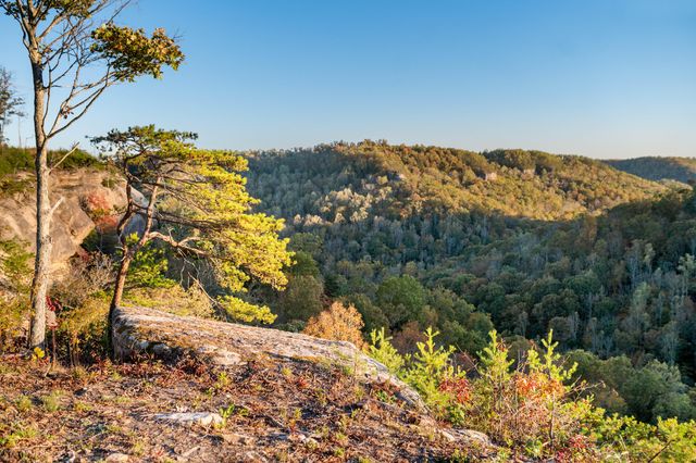 1484 Forest View Drive, Frenchburg, KY 40322