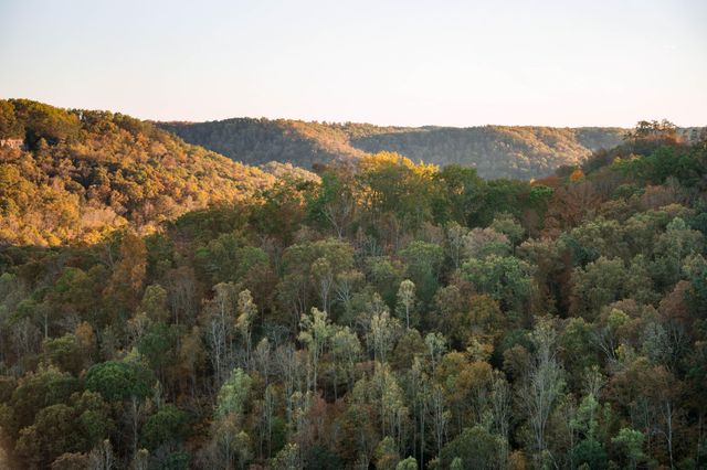 1484 Forest View Drive, Frenchburg, KY 40322