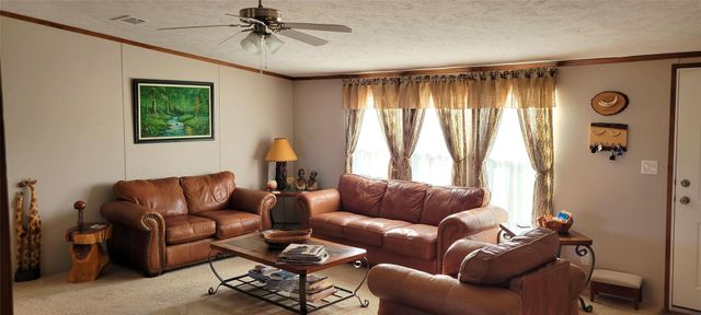 1045 Mcelroy Lane, New Ulm, TX 78950