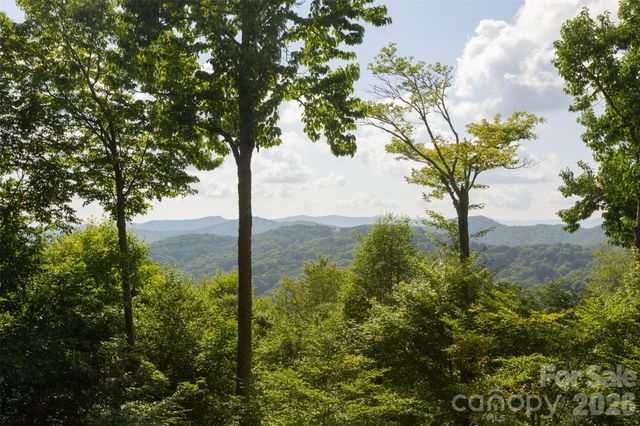 3182 El Miner Drive, Mars Hill, NC 28754