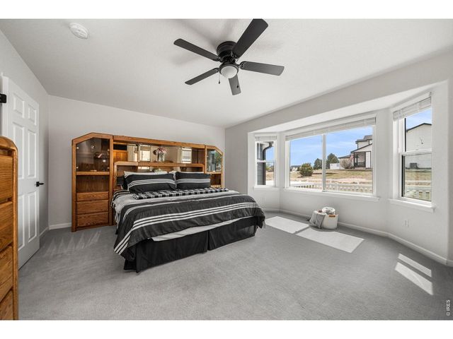 16645 Tree Haven St, Hudson, CO 80642