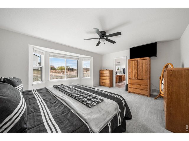 16645 Tree Haven St, Hudson, CO 80642