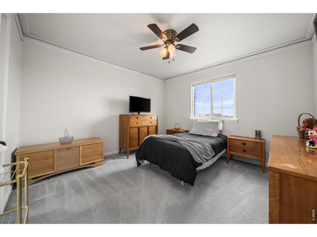 16645 Tree Haven St, Hudson, CO 80642