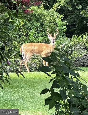 1411 CHAPEL RD, Havre De Grace, MD 21078