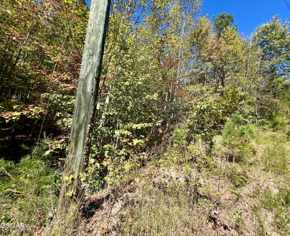 5.61 Acre Creek Hollow Way, Sevierville, TN 37876