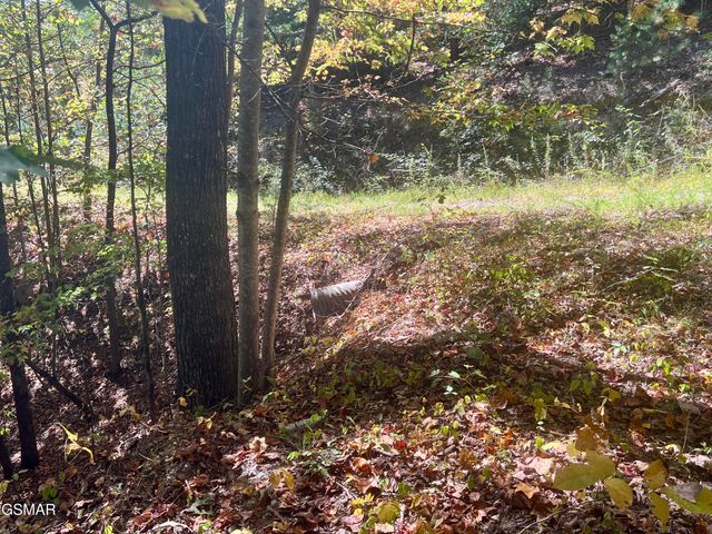 5.61 Acre Creek Hollow Way, Sevierville, TN 37876