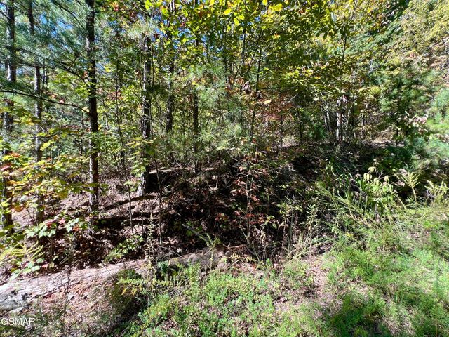 5.61 Acre Creek Hollow Way, Sevierville, TN 37876