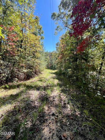 5.61 Acre Creek Hollow Way, Sevierville, TN 37876