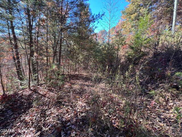 5.61 Acre Creek Hollow Way, Sevierville, TN 37876