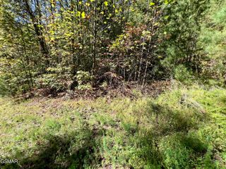 5.61 Acre Creek Hollow Way, Sevierville, TN 37876