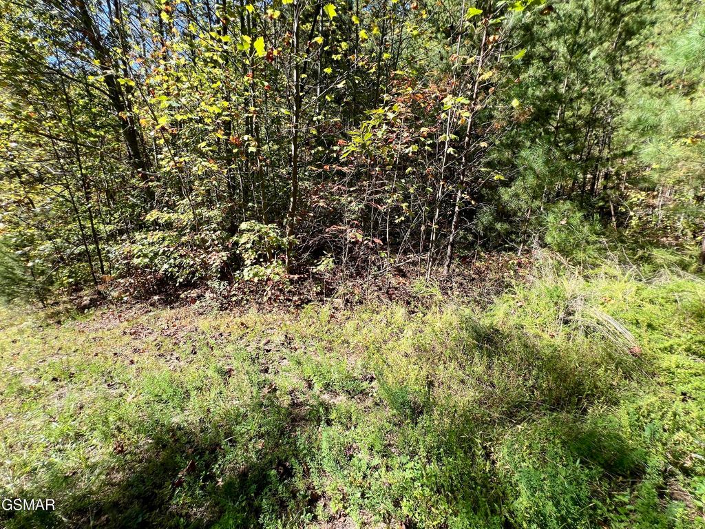 5.61 Acre Creek Hollow Way, Sevierville, TN 37876