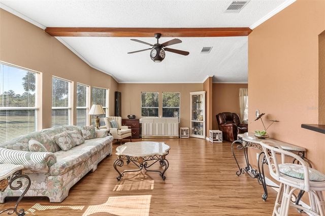 233 AZALEA LANE, Osteen, FL 32764