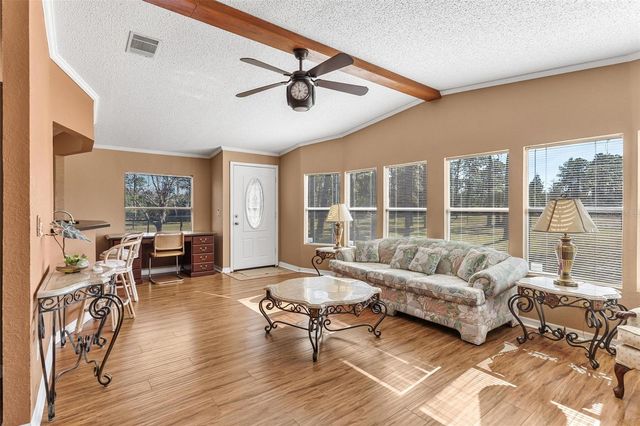 233 AZALEA LANE, Osteen, FL 32764