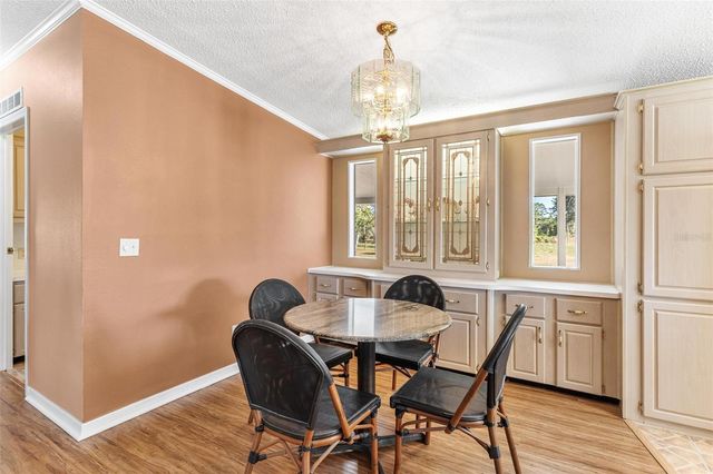 233 AZALEA LANE, Osteen, FL 32764