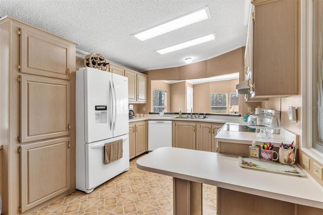 233 AZALEA LANE, Osteen, FL 32764