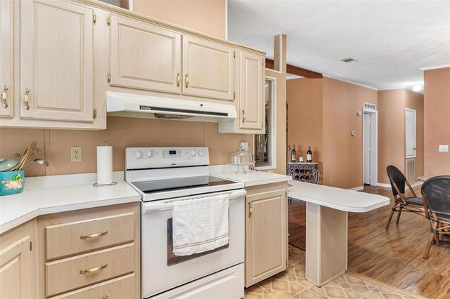 233 AZALEA LANE, Osteen, FL 32764