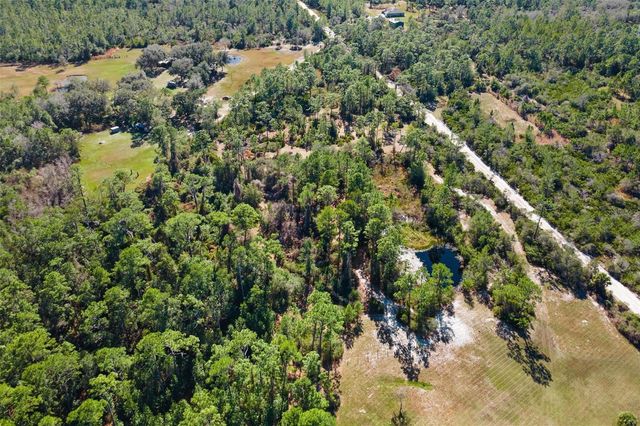 233 AZALEA LANE, Osteen, FL 32764