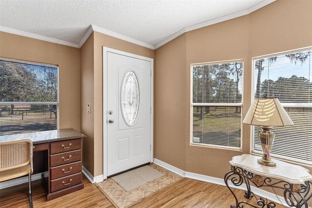 233 AZALEA LANE, Osteen, FL 32764