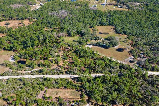 233 AZALEA LANE, Osteen, FL 32764